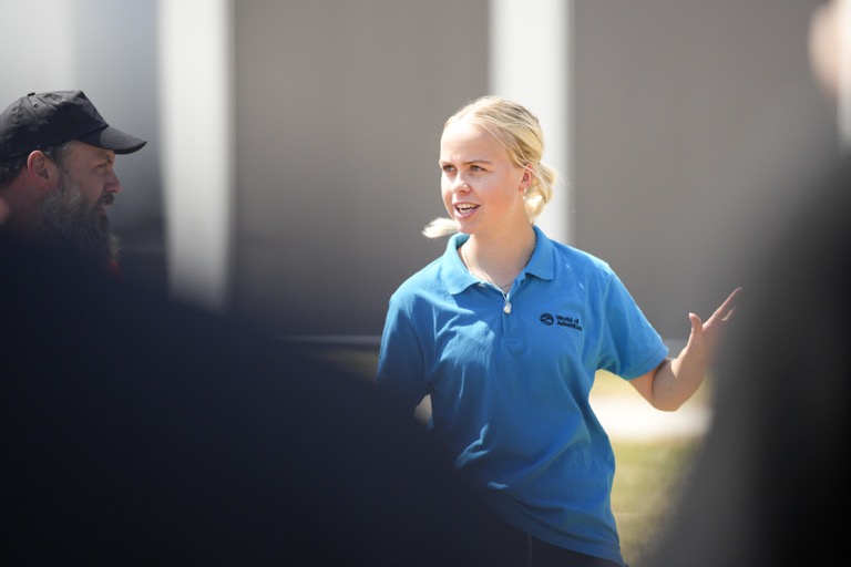 city-adventure billede 2