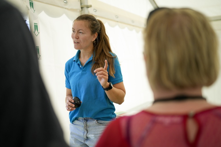 murder-investigation billede 3